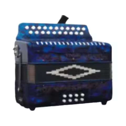 Professional 21-Button 8-Bass Diatonic Piano Accordion Music Instrument