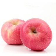 Red Fuji Apple Size L / Size XL (1pc)