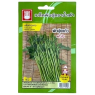 Morning Glory Seeds Glass Heart Gourd Brand