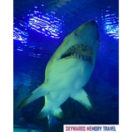 Aquaria KLCC Ticket - General Tickets