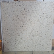 Granit lantai kamar mandi teras garasi rumah ATENA 60x60 TERAZZO LBG motif traso batu kecil matt kas