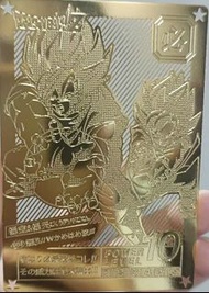 龍珠卡