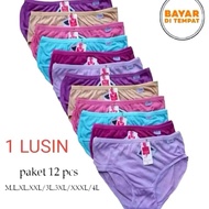 12pcs & 6pcs Dozens of Underwear CD/s Dozens of Underwear Dozens of Underwear/s Underwear/s Dozens o