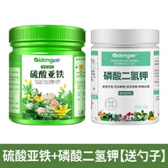 Ferrous Sulfate Flower Fertilizer Hexi Gardenia Camellia Azalea Osmant