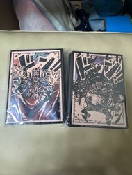One piece 卡套