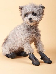 1套（4個）寵物狗鞋，黑色寵物果凍透明鞋