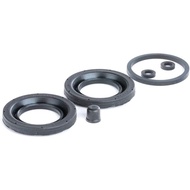 D4096 Brake Caliper Repair Kit