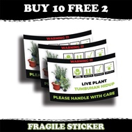 Buy 10 FREE 2 | | Fragile Sticker Live Plants, Live Flowers | Easy to Break Fragile Stickers (7.9 x 