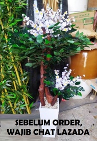 TERMURAH Pohon Bonsai Sakura Mix Beringin Plastik Artificial Palsu Tinggi 120 cm / Bunga Sakura Plas