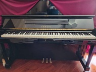 Yamaha U1F 鋼琴