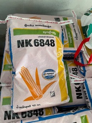 NK6848 ขนาด 3 หุน เมล็ดพันธุ์ข้าวโพดเลี้ยงสัตว์