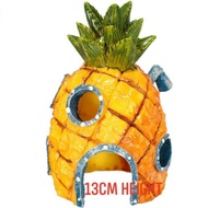 Pineapple House Decor