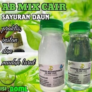 Paket Nutrisi hidroponik AB mix cair SAYURAN daun kemasan 80ml