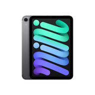 Apple - Apple iPad mini Wi‑Fi + 流動網絡 256GB - 太空灰