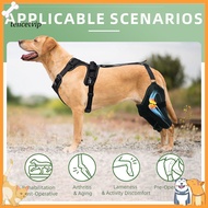 Vip Hind Leg Support for Dogs Dog Knee Brace for Acl Injury Dog Knee Brace for Back Leg Acl Support 