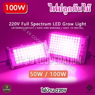 สปอตไลท์ โคมไฟปลูกต้นไม้ ไฟปลูกพืช LED 50W  100W แสงม่วง ช่วยการเจริญเติบโตของพืช (ไฟบ้าน 220 V)