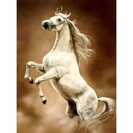 Poster Picture Horse Size A3 Thickness 200 Grams No Frame Auspicious Enhance Feng Shui Decorate Your