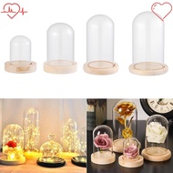FAVORITEGOODS Glass cloche Terrarium Tabletop Fairy Lights Glass Vase Jar Transparent Bottle Flower Storage box