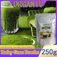 Organic Barley Grass Powder original 250g barley grass official store organic barley grass powder Rich in Fibers, Vitamins, Minerals, Raw Organic Perfect Food Green Superfood