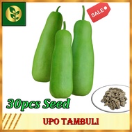 Upo Seeds | Upo tambuli | Vegetables seeds | Golden Plant and Seed Store