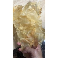 Fish Maw 鱼漂 1kg dried fish maw