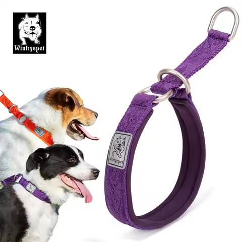 Winhyepet Pet Dog Collar P-chain No Pull Walking Traveling Light 3M Reflection Liner for Great & Sma