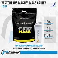 Vectorlab Mater Ma Gainer 12 Lb Uu Protein Weight Gain