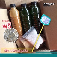 Ratjat ชุดเพาะไรแดง ชุดทำน้ำเขียว (ฟรีกระชอน ฟรีไข่ไรแดง) อาหารไรแดง ต่อยอดได้ เลี้ยงไรได้ มีคลิปและ