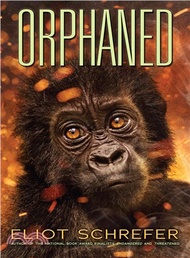 Orphaned