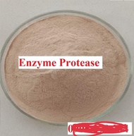 MEN VI SINH ( Enzyme Protease 10.000 UI/G) - 5kg