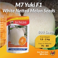 [500 Seeds] M7 Benih Melon Yuki Soon Huat Seeds