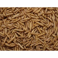 Maggot kering 500 gram / maggot 1/2kg / maggot kering / maggot / pakan koi / pakan ikan predator / p