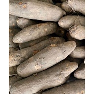 African Yam (1 Tube of smaller size = RM39.99) New arrival 29th August 2022