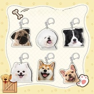 2D Flat Acrylic Fashion Cute Cartoon Pet Keychain Dog Pendant Pug Bichon Frize Corgi Animal Keyring 