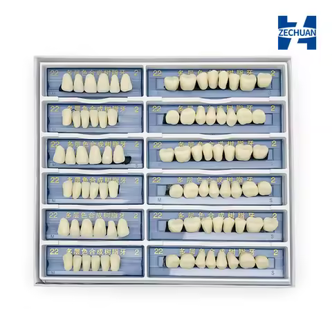 168 Pcs Dental Consumables Synthetic Resin Denture Teaching Model Upper Anterior Lower Posterior Fak