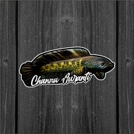 Fish Stickers | Channa Auranti