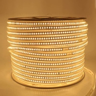แสงสว่างจ้ามากแถบไฟ LED 220V ความสว่าง2835 SMD ยืดหยุ่นได้สูง144 Led/m กันน้ำแถบไฟแถบไฟ LED พร้อมปลั