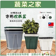 [Vegetable House] Square Root Control Basin-No.6 (7 Inch), No. 7 (8 8 (9 Inch) Made In Taiwan Green 