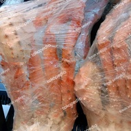 king crab shoulder / king crab 800gr / kepiting Alaska