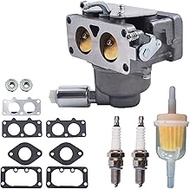 munirater Carburetor Replacement for Briggs & Stratton 791230 792295 796227 799230 796258 796259 796