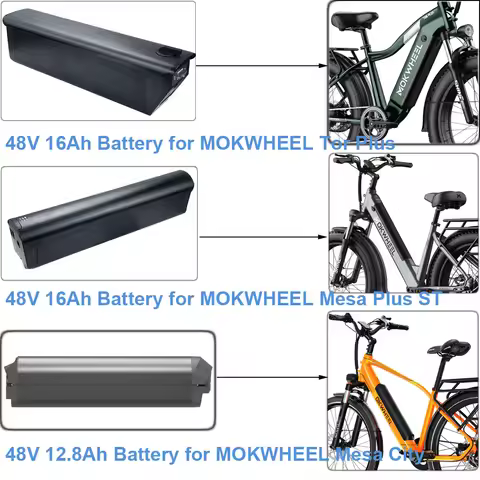 Electric Bike Battery 48V 12.8Ah 16Ah Lithium-ion Ebike Battery fit MOKWHEEL Tor Plus Mesa City Plus