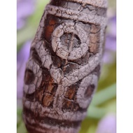 💥Ready Stock💥 28.9mm x 13.9mm 龙纹 老气 六眼龟甲天珠 6 Eyed Turtleback Dzi Manik CW3706