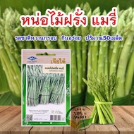 50Biji Benih Asparagus Mary / Asparagus Hijau / Asparagus Seed /Cap Chia Tai