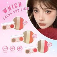 SANIYE 3 COLORS FACE POWDER PALETTE
