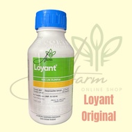 Dow AgroScience Loyant Racun Rumput Padi Sambau Keladi Agas Cabai Kera Dan Lain 500ml