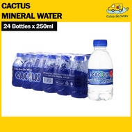Cactus Natural Mineral Water (24 x 250ml)