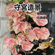 Gecko Breeding Box Landscaping Simulation Green Plant Reptile Breeding Box Decoration Gecko Hide Hou