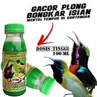 NEKTAR HIJAU pakan PENGGACOR harian pleci Kolibri konin sogon cucak ijo dan cungkok
