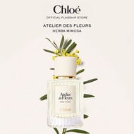 Chloé Atelier Des Fleurs Herba Mimosa Eau De Parfum For Women | Symbol of Sensitivity | Powdery Gree