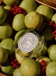 DIPTYQUE Ilio Eau de toilette 伊里奥 淡香水100ml